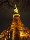 The Tokyo Tower in the night